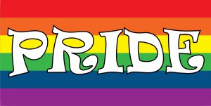 Pride Gay Pride Flag Photo License Plate