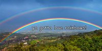 Ya Gotta Love Rainbows Mountain Scene Photo License Plate