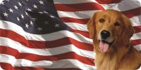 Golden Retriever On U.S. Flag Photo License Plate