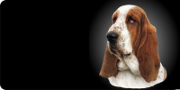 Basset Hound Dog Photo License Plate