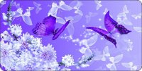 Purple Butterflies Photo License Plate