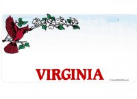 Virginia State Look A Like Photo License Plate