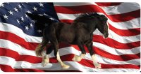 Shire Horse On U.S. Flag Photo License Plate