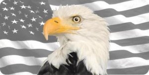 Bald Eagle American Flag Grey Scale Photo License Plate