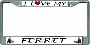 I Love My Ferret Chrome License Plate Frame
