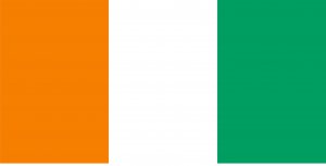 Ivory Coast Flag Photo License Plate