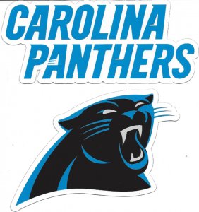 Carolina Panthers 2pc Team Magnet Set