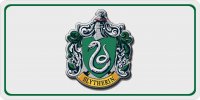 House Of Hogwarts Slytherin #3 Photo License Plate