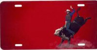 Bull Rider on Red License Plate