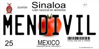 Mexico Sinaloa Photo License Plate