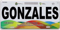 Mexico Veracruz Photo License Plate