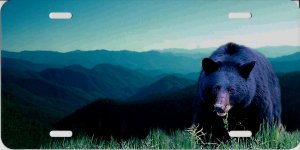 Offset Bear Mountain Scene License Plate