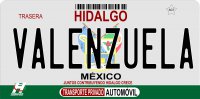 Mexico Hidalgo Photo License Plate