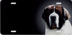 Saint Bernard Dog Airbrush License Plate