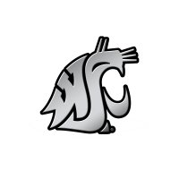 Washington State Cougars NCAA Plastic Auto Emblem