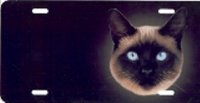 Blue Eyed Siamese Cat Airbrush License Plate