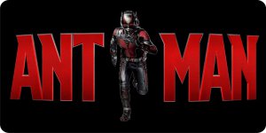 Ant Man Figure Photo License Plate