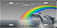 Grey Rainbow Dolphins Airbrush License Plate
