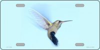 Hummingbird In Flight Centered Metal License Plate