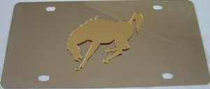 Mustang Gold Stainless Steel License Plate