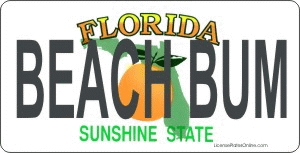 Design It Yourself Florida State Look-Alike Bicycle Plate