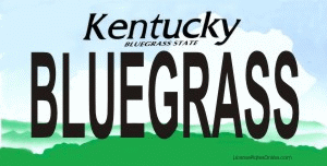 Design It Yourself Custom Kentucky State Look-Alike Plate #2