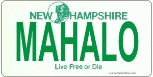 Design It Yourself Custom New Hampshire State Look-Alike Plate