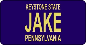 Design It Yourself Pennsylvania State Look-Alike Bicycle Plate#2